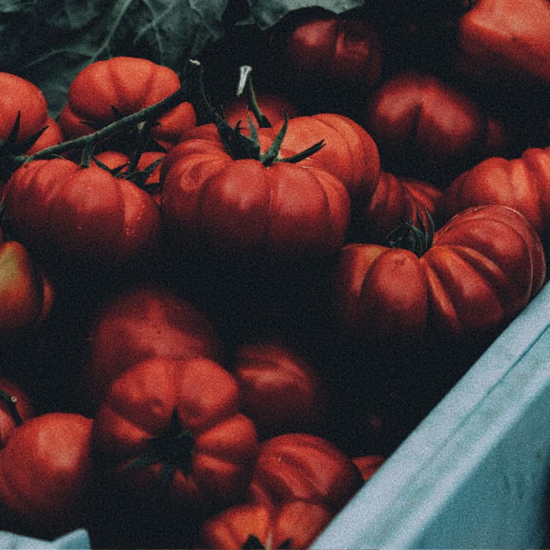 De Hemliga Ingredienserna: Italiensk matlagning för nybörjare