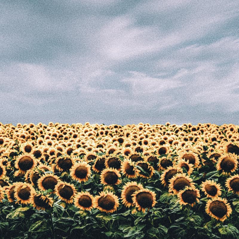 Färgglad och Chic: Att bära italienska sommarfärger